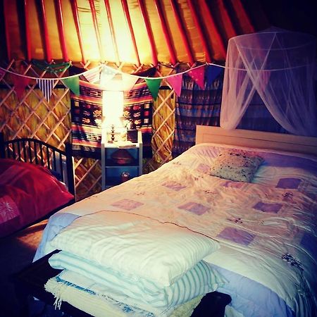 Galway Glamping Hotell Tuam Exteriör bild