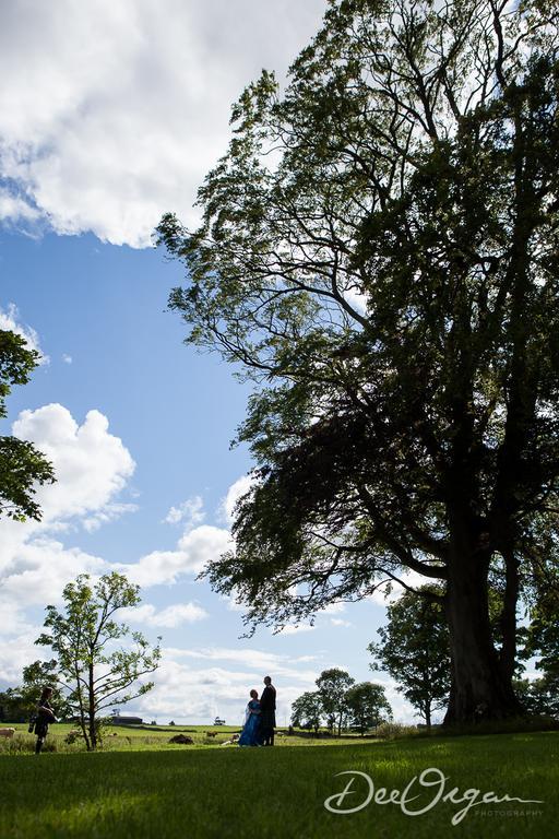 Galway Glamping Hotell Tuam Exteriör bild