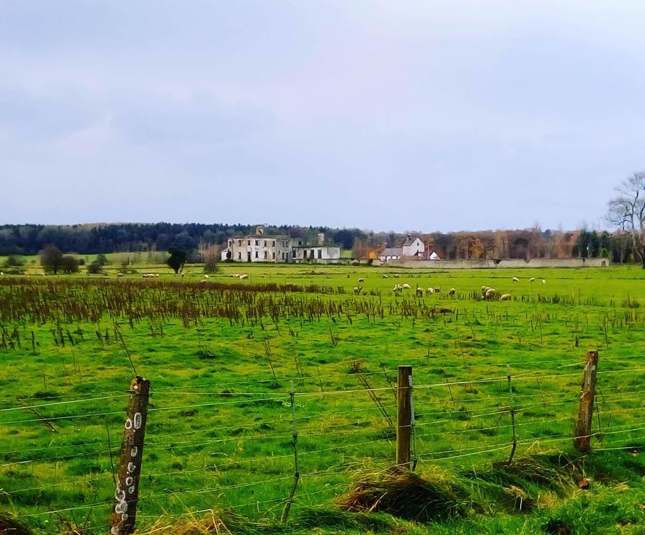 Galway Glamping Hotell Tuam Exteriör bild