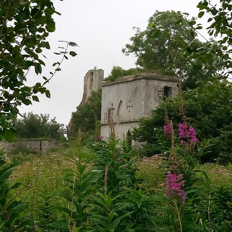 Galway Glamping Hotell Tuam Exteriör bild