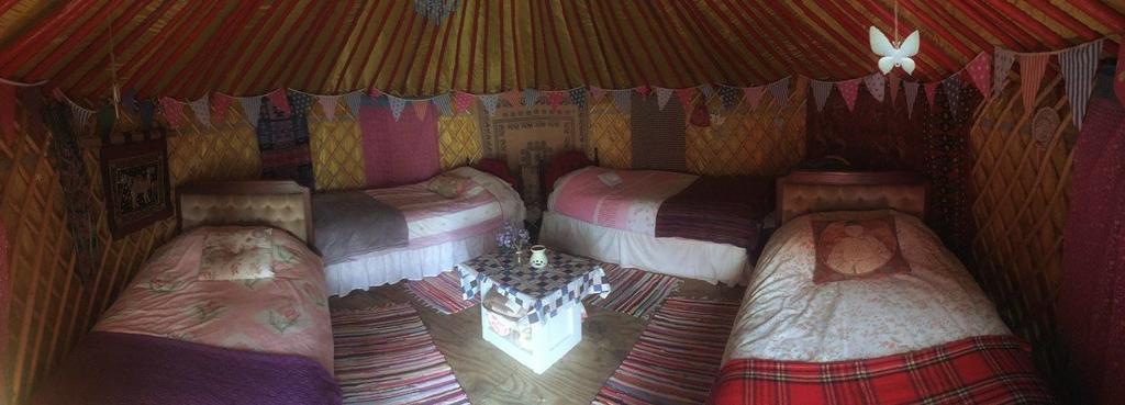 Galway Glamping Hotell Tuam Exteriör bild